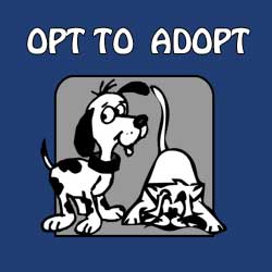 Opt to Adopt